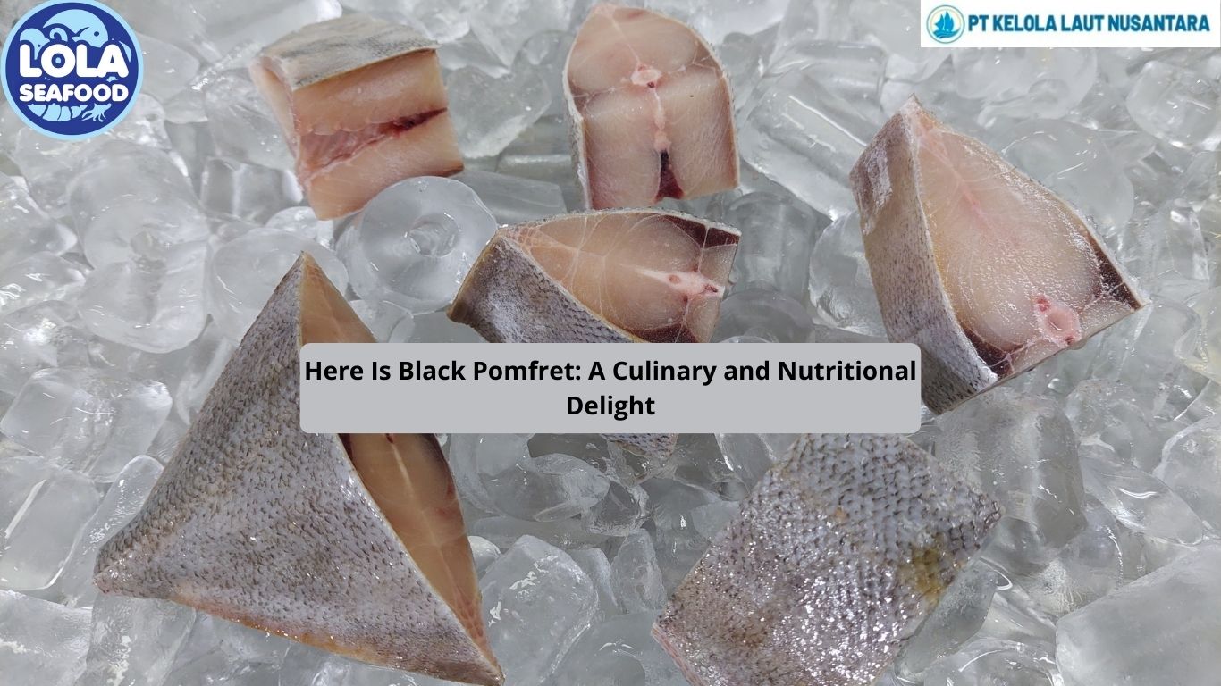 Here Is Black Pomfret: A Culinary and Nutritional Delight